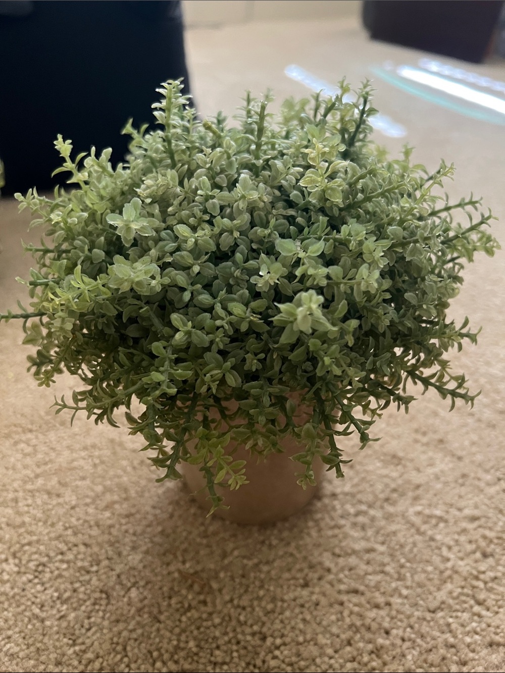 Artificial Green Potted Plant - Soft Sage Faux Foliage